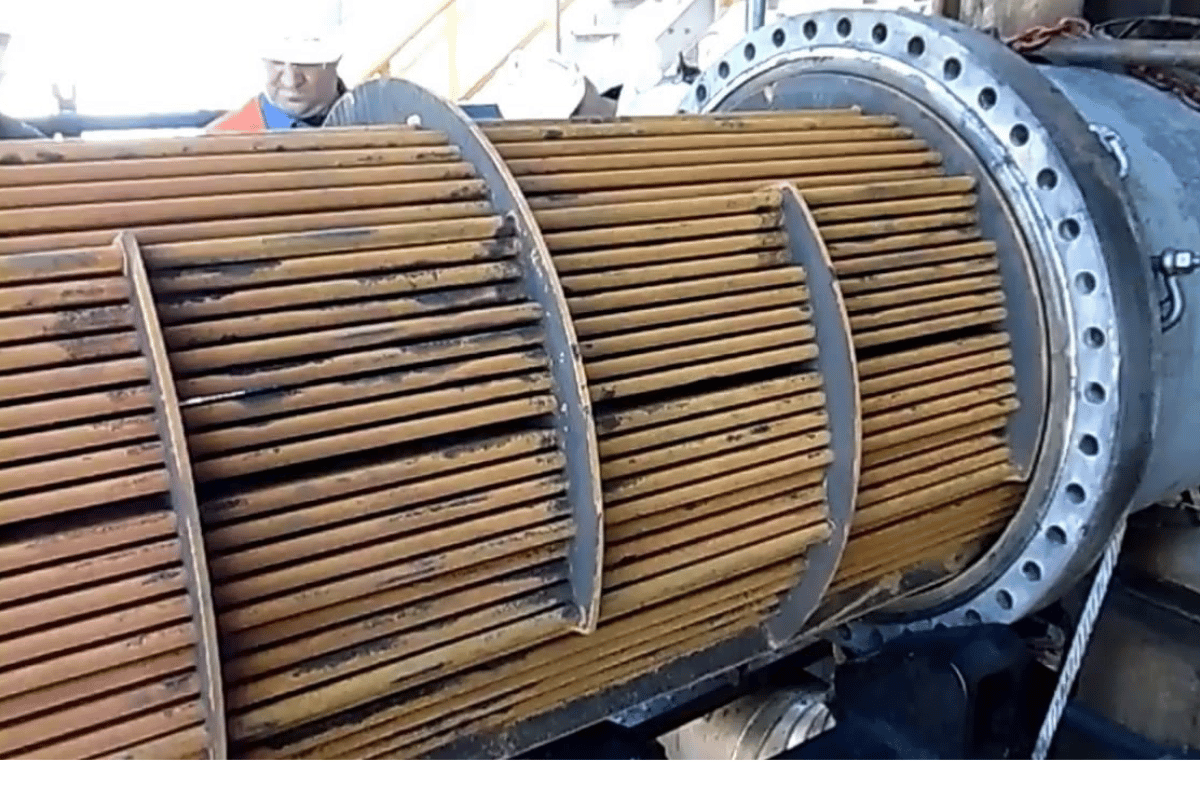 未命名的设计 - 2026-01-12T150630.355.png 未命名的设计 - 2026-01-12T150630.355.png