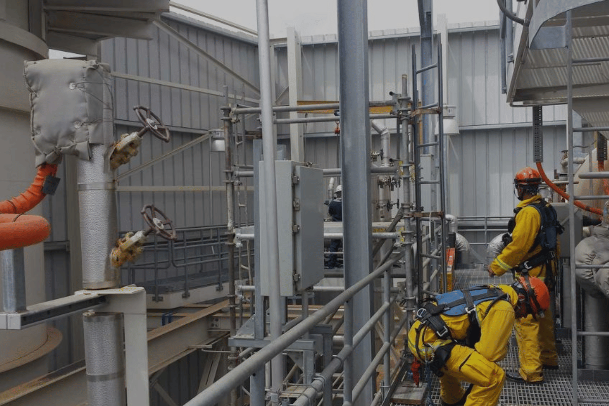 未命名 (1200 x 800 像素) (66).png