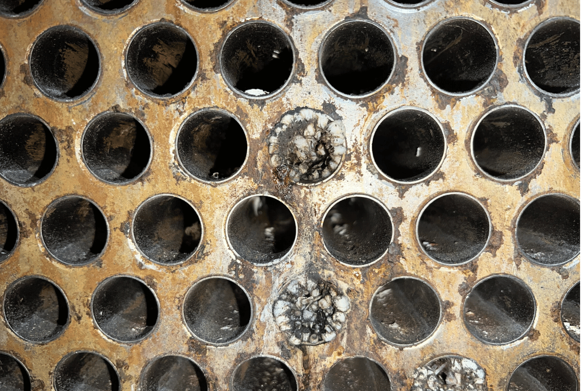 未命名 (1200 x 800 像素) - 2026-01-22T142439.989.png