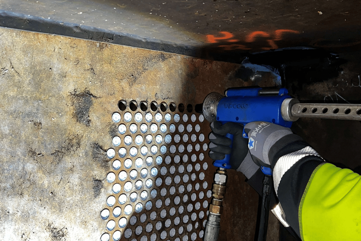 未命名 (1200 x 800 像素) - 2026-01-22T141949.555.png