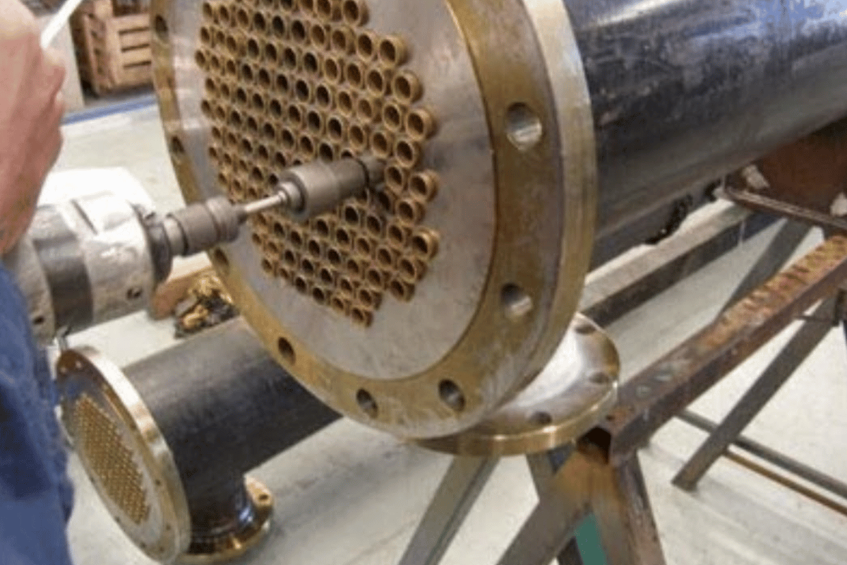 未命名 (1200 x 800 像素) - 2026-01-22T141856.749.png